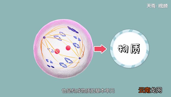 夸克是什么什么是夸克