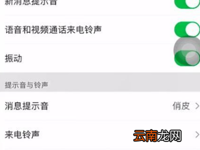 苹果微信提示音怎么改