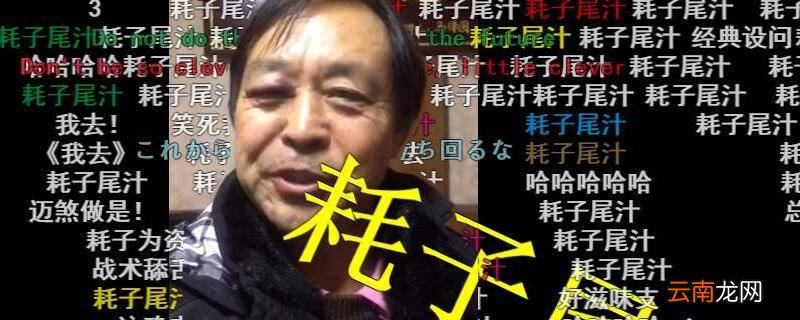耗子尾汁是什意思