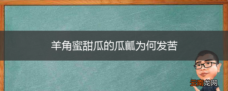羊角蜜甜瓜的瓜瓤为何发苦