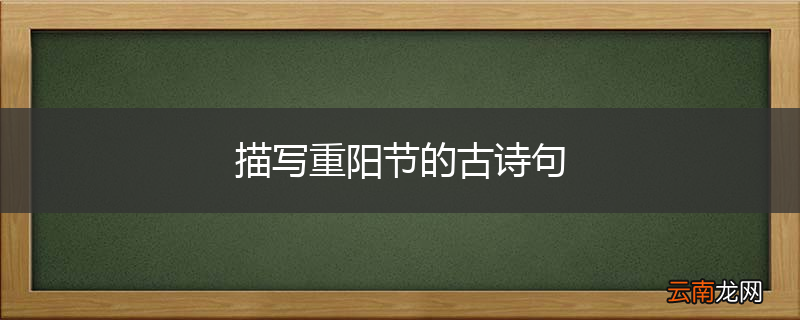 描写重阳节的古诗句