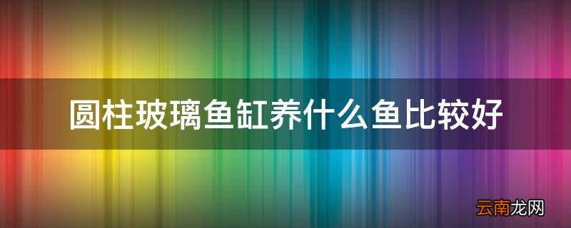 圆柱玻璃鱼缸养什么鱼比较好