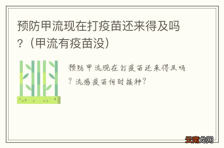 甲流有疫苗没 预防甲流现在打疫苗还来得及吗?