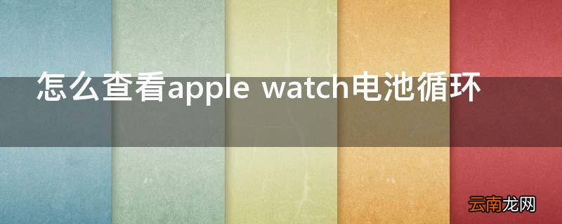 怎么查看apple watch电池循环