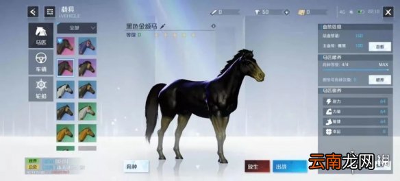 诺亚之心怎么抓马 诺亚之心抓马玩法攻略