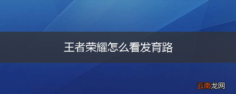 王者荣耀怎么看发育路