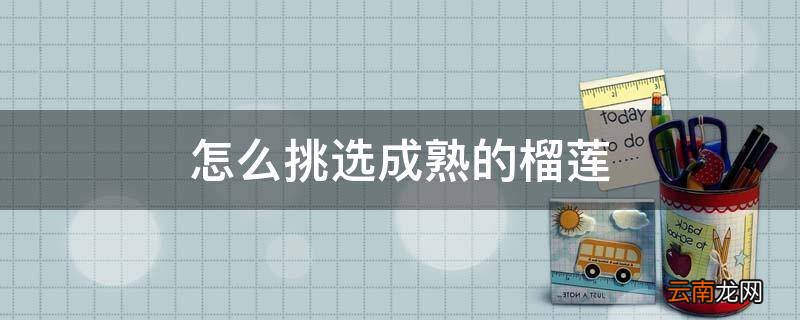 怎么挑选成熟的榴莲
