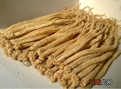 党参的作用 有效降血糖