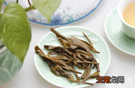 你知道吗？普洱茶应该这样喝