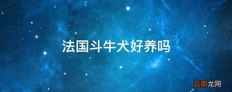 法国斗牛犬好养吗
