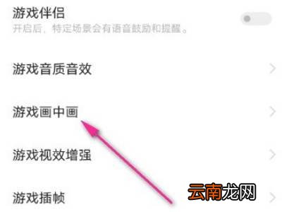 vivo手机怎么边玩游戏边看视频
