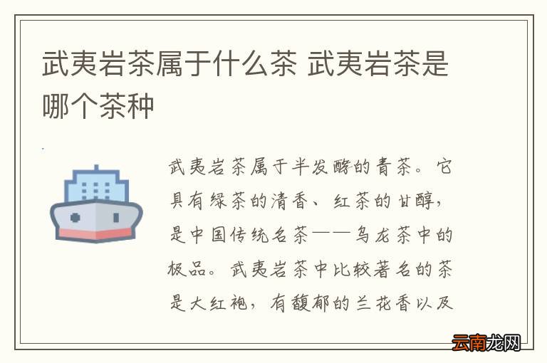 武夷岩茶属于什么茶 武夷岩茶是哪个茶种