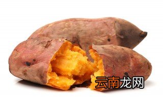 红薯要怎样储存才不会烂 红薯怎么储存
