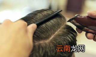 龙抬头剪头发时辰 龙抬头剪头发时辰是什么时候