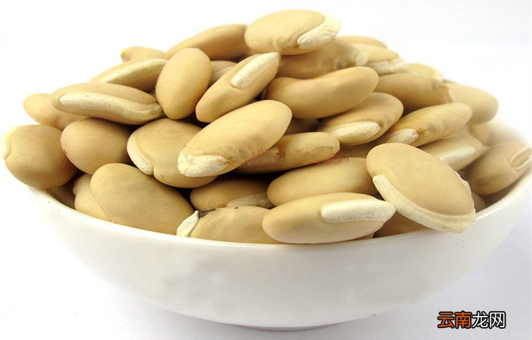 孕妇吃白扁豆怎么样 适量吃很不错