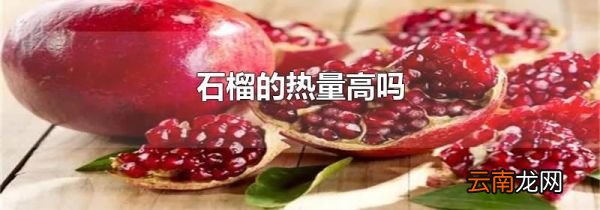 石榴的热量高吗