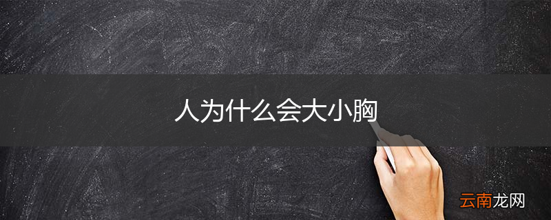 人为什么会大小胸