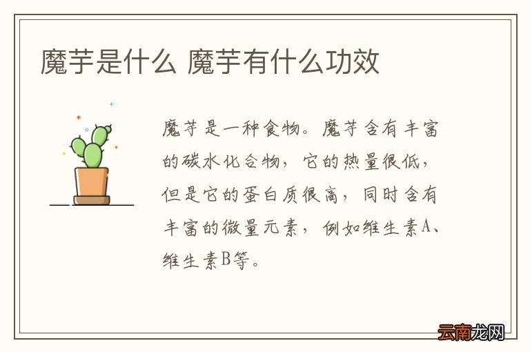 魔芋是什么 魔芋有什么功效