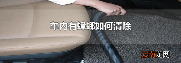 车内有蟑螂如何清除