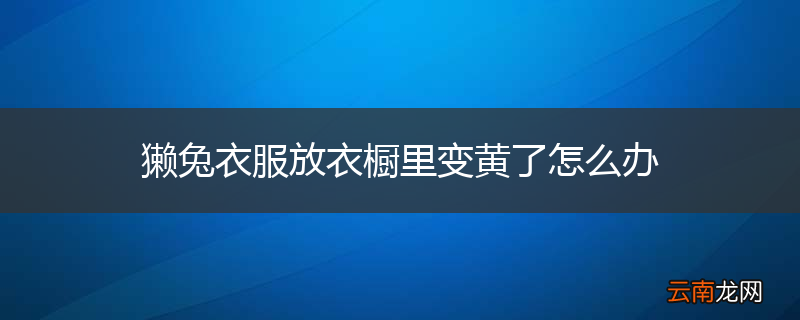 獭兔衣服放衣橱里变黄了怎么办