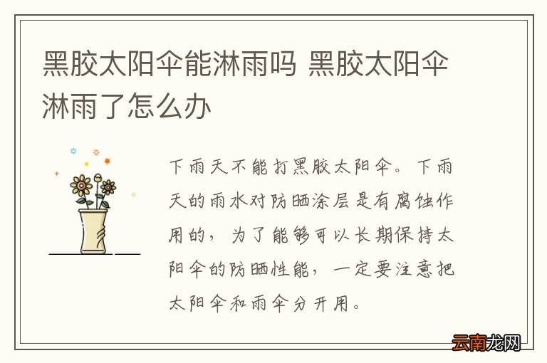 黑胶太阳伞能淋雨吗 黑胶太阳伞淋雨了怎么办