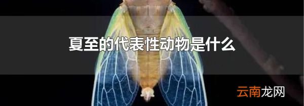 夏至的代表性动物是什么