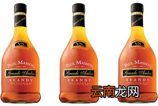 白兰地是否就是葡萄酒,白兰地是否就是葡萄酒？？？