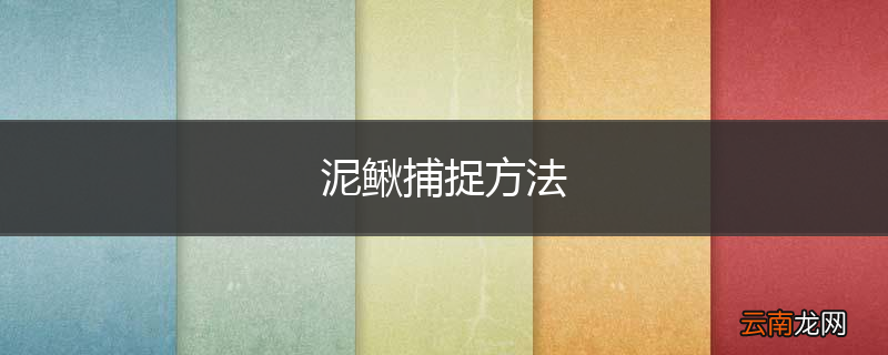 泥鳅捕捉方法