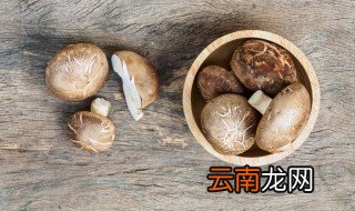 什么样的香菇不能吃 怎么看香菇能不能吃