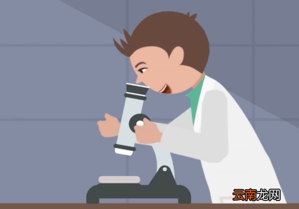 灞桥纸是哪个朝代的