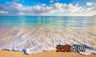 海底小纵队里面的人物是哪些动物
