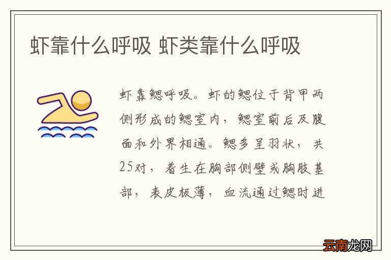 虾靠什么呼吸 虾类靠什么呼吸