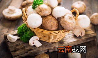 口蘑是不是蘑菇 口菇是口蘑吗