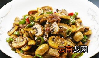 圆菇的做法大全 圆菇的有哪些做法