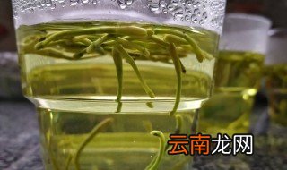 金银花茶是怎么制作的 金银花茶制作的方法
