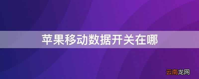iPhone移动数据开关在哪 苹果手机怎样打开移动数据开关