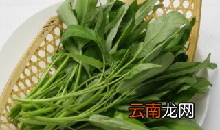 炒空心菜怎么炒才好吃 关于炒空心菜怎么炒才好吃