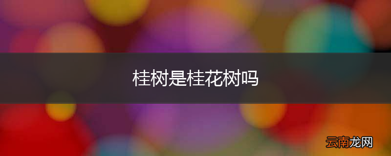 桂树是桂花树吗