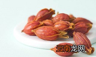 栀子怎样泡水喝好 栀子泡水方法