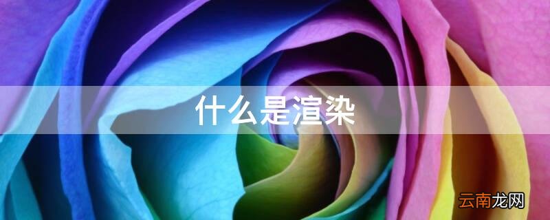 什么是渲染手法 什么是渲染