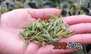信阳毛尖的冲泡方法步骤 信阳毛尖的冲泡方法分享