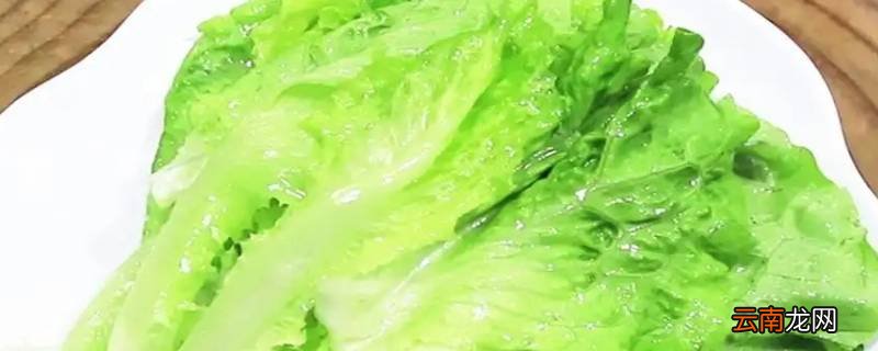 生菜长什么样