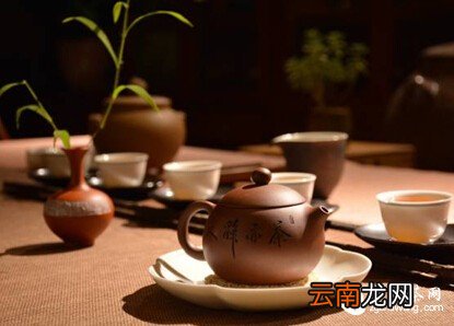 秋茶来啦！如何挑选秋茶？