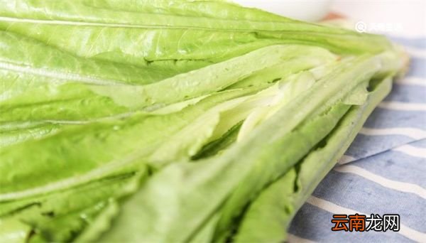 面条菜是什么菜 什么叫面条菜
