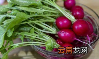 水萝卜叶子怎么做好吃 水萝卜叶子好吃的做法