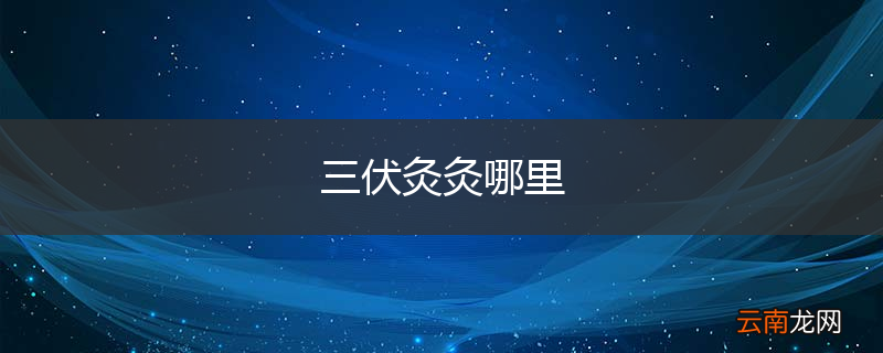 三伏灸灸哪里