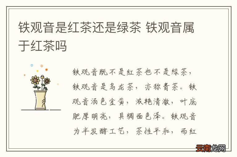 铁观音是红茶还是绿茶 铁观音属于红茶吗