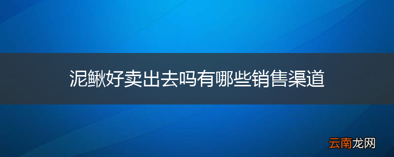 泥鳅好卖出去吗有哪些销售渠道
