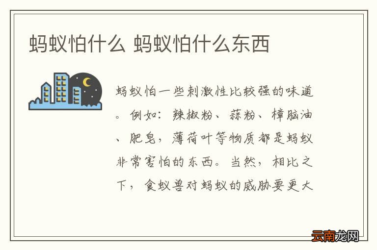 蚂蚁怕什么 蚂蚁怕什么东西