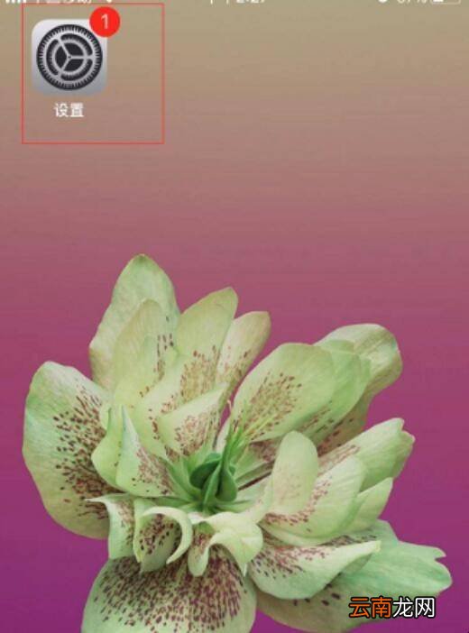 iphone6s怎么清理垃圾